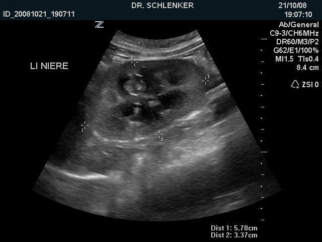 Ultraschall (Sonographie) Kleintierpraxis am Ölper See Tierarzt Dr